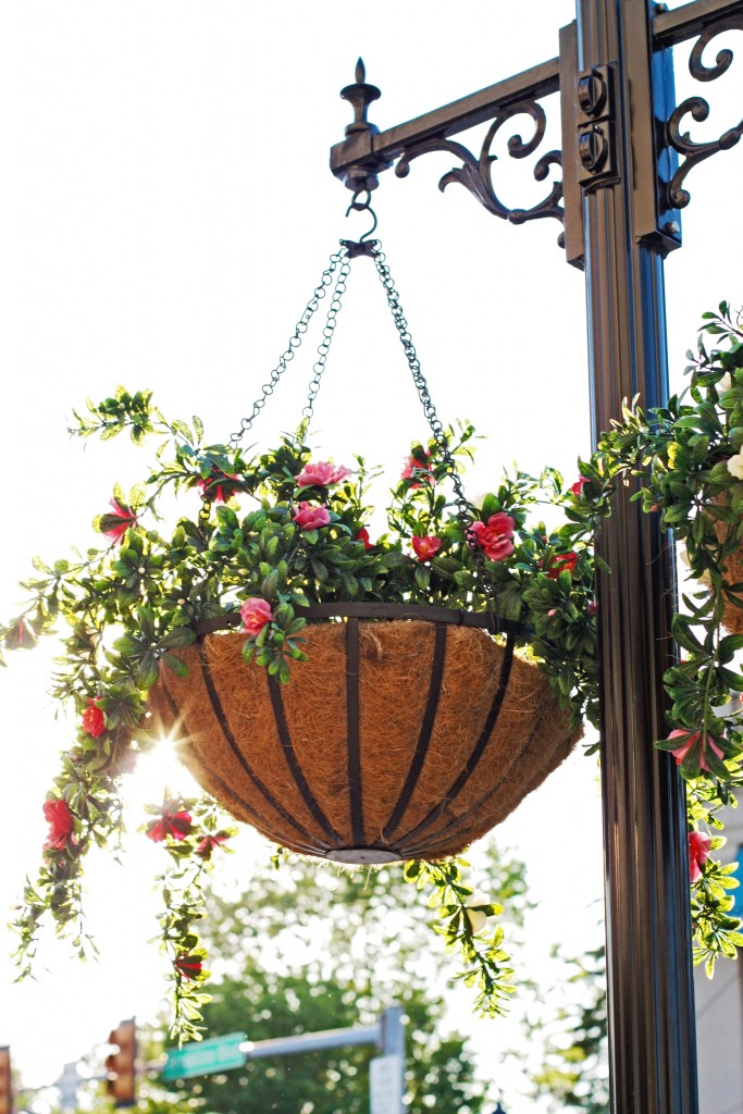 HangingBasket