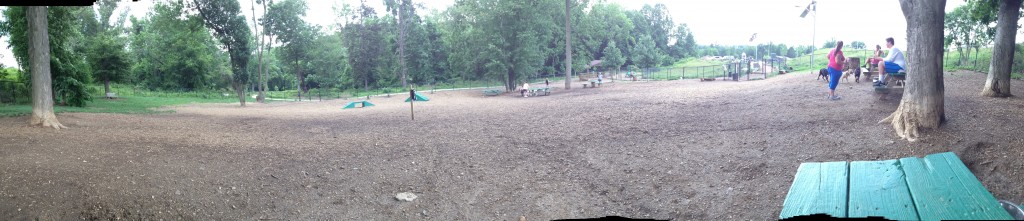 Dog park