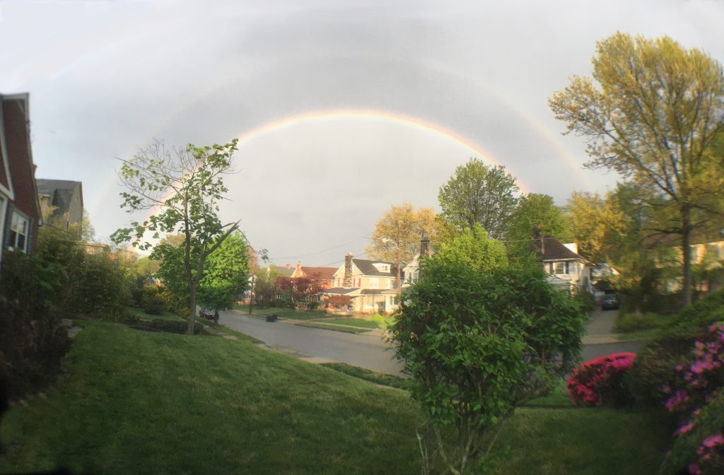 DoubleRainbow